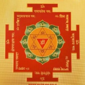 Изображение профиля Светлана Олейник