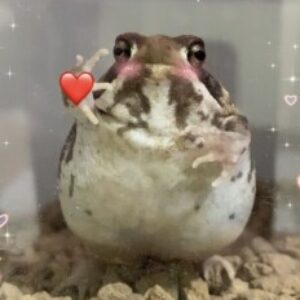 Изображение профиля Ольга Хорева