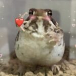 Изображение профиля Ольга Хорева