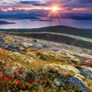 Изображение профиля Нелли