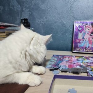 Изображение профиля Яна Войцеховская