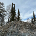 Изображение профиля Irina Chursanova