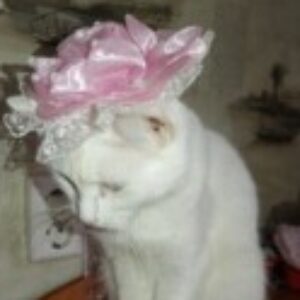 Изображение профиля Elena Suprunova