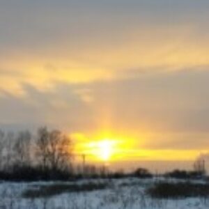 Изображение профиля Оксана Гридунова