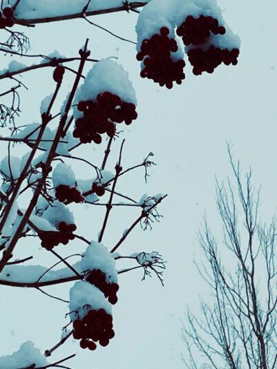 8A9C47DB-8F0D-4C4C-97F0-3C2D2A0EC7AD