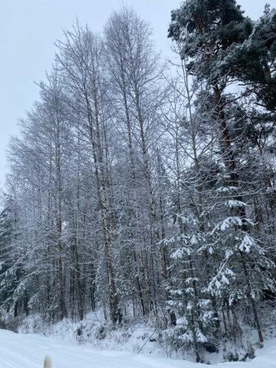 C8E566FE-FC3E-4584-8A8D-F2446BC1AD4C