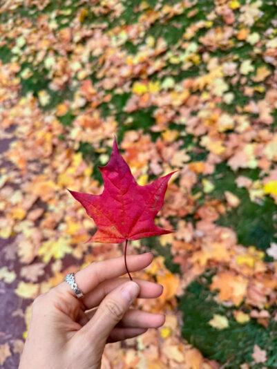 38F3DC0C-1CE5-44E9-94E0-ADB53B063590