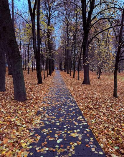 52AE68AC-D1E1-4762-B814-96EC24CDB8D2