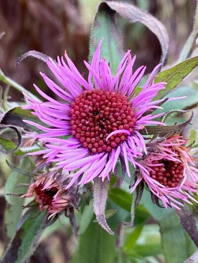 2CDF6EBD-C1C3-4C2A-9DC1-A1C6973F646D