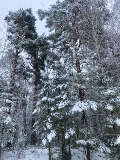 6C1C4B36-3317-4B15-A658-1B66E995E7B8