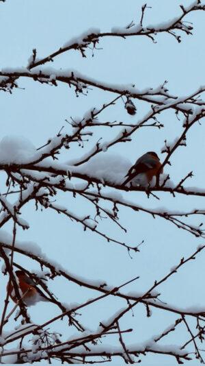 3713822F-7351-4696-ACBE-B010A912A956