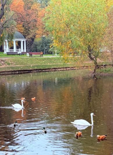 E9CE3980-7E80-4F73-AC86-404BD823E490