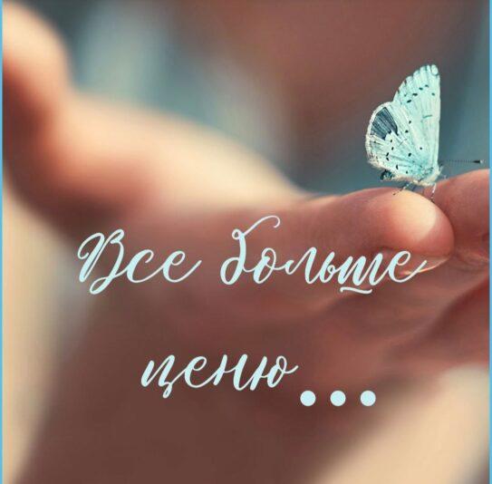 photo_2025-01-21_19-05-24