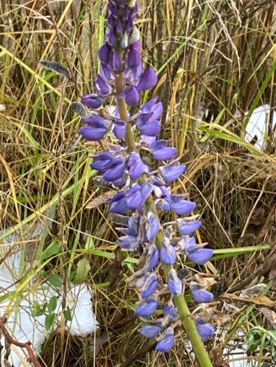 67B525D5-9D58-4BEB-A4F6-C39A401B478A