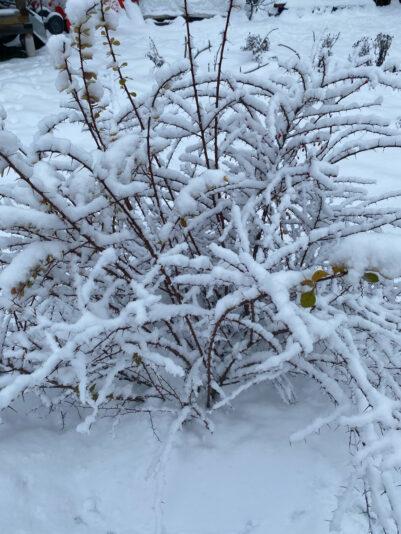 9B5D3044-114B-468D-8044-85F69B62D640