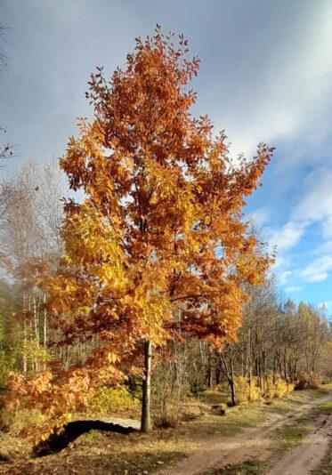 9D0CBEE6-3790-4196-8B5D-8E0F7E9C7F2E