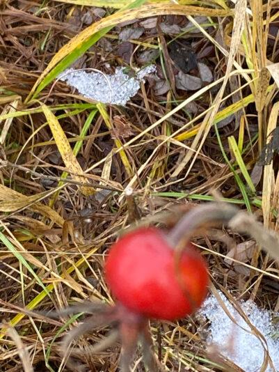 CFFC8EE6-D57E-4D91-A415-F95F16D07947