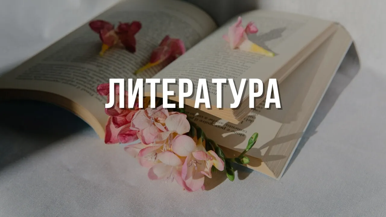 biblioteka-literatura-01