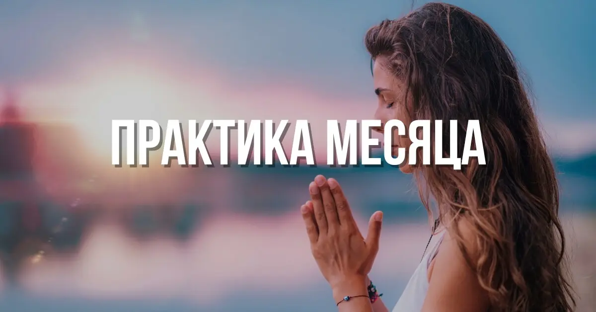 biblioteka-praktiki-05