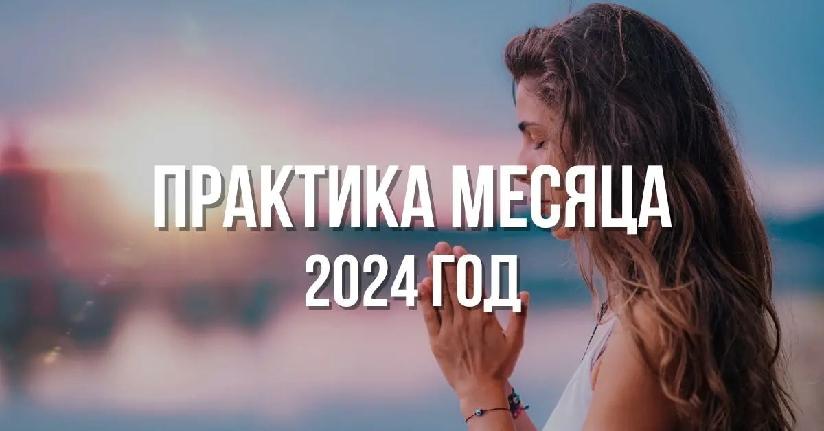 biblioteka-praktiki-2024