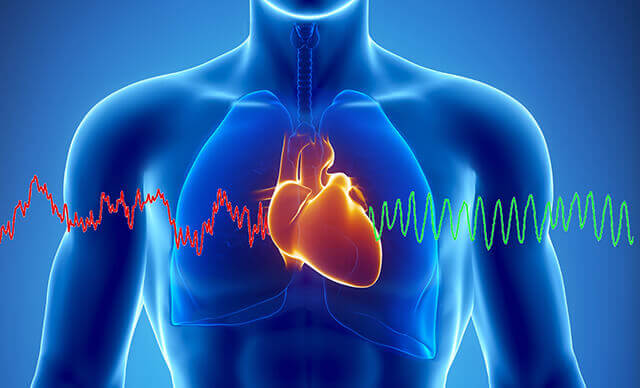 Энергия сердца. Как заставить сердце работать на вас?