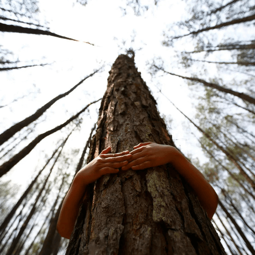 Биоплазма: Живая среда для эволюции человека