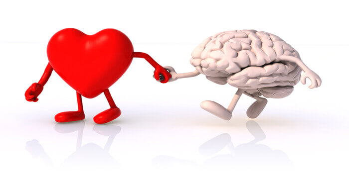 От силы мозга к силе Сердца