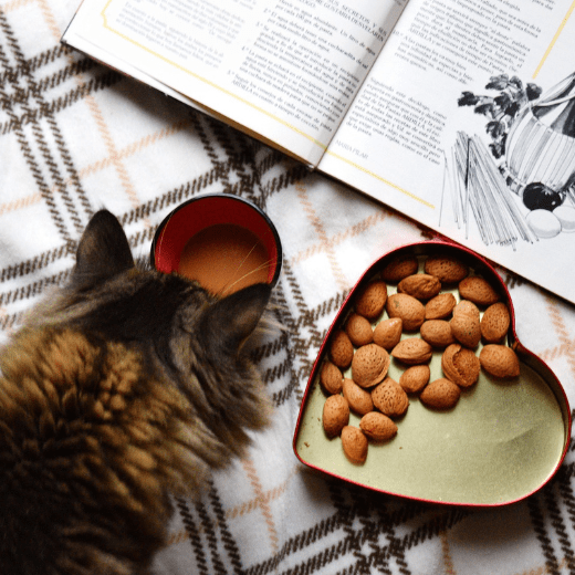 Период закукливания. Как себя поддержать, находясь в нем