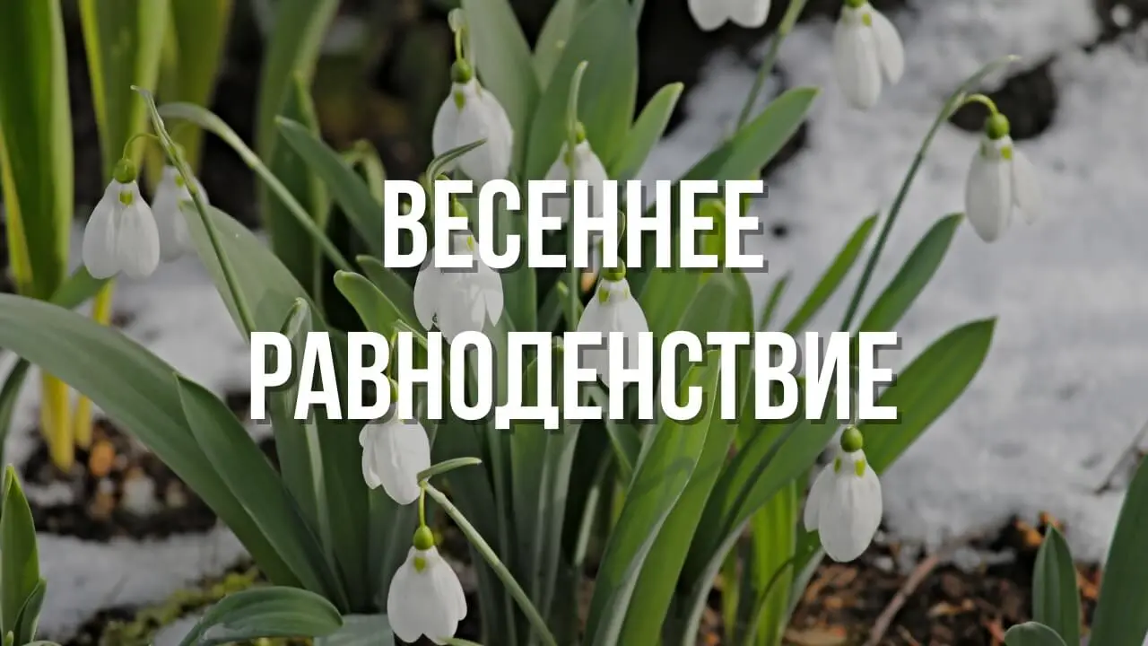 vesennee-ravnodenstvie-01-1