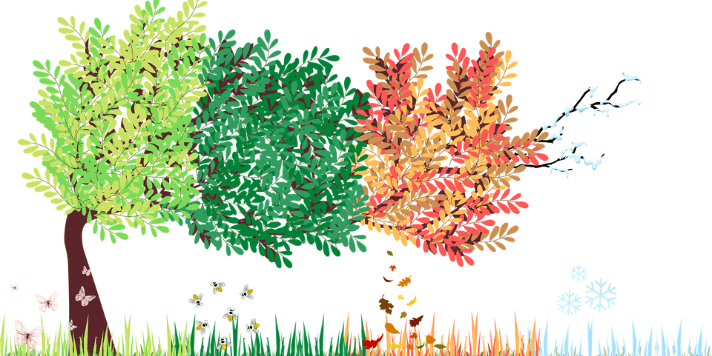 Циклы года. Как жить в ритме с природой