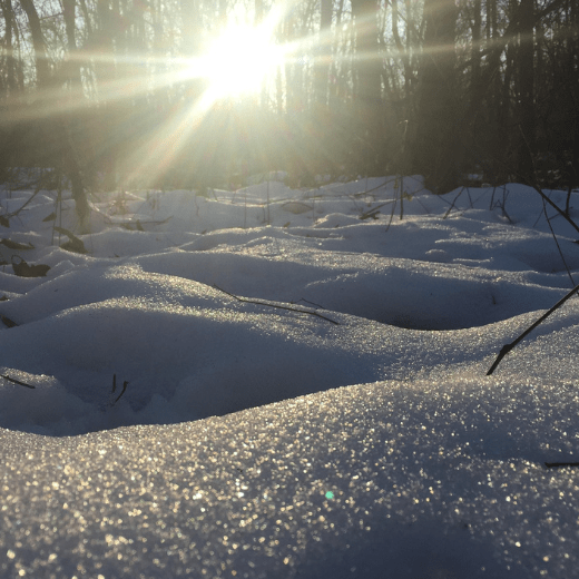 Значение циклов года - Как жить в ритме с природой