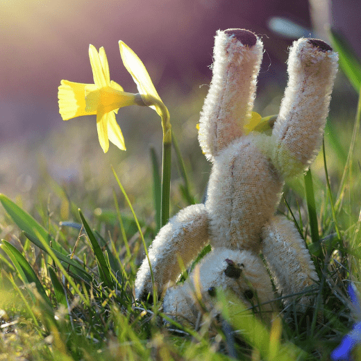 Значение циклов года - Как жить в ритме с природой