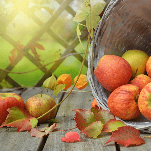 Осеннее равноденствие → зимнее солнцестояние (Сентябрь — декабрь)