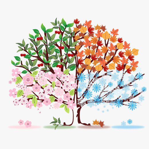 Значение циклов года - Как жить в ритме с природой